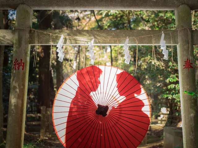 -Wedding Photo-（挙式・披露宴 スナップ撮影）