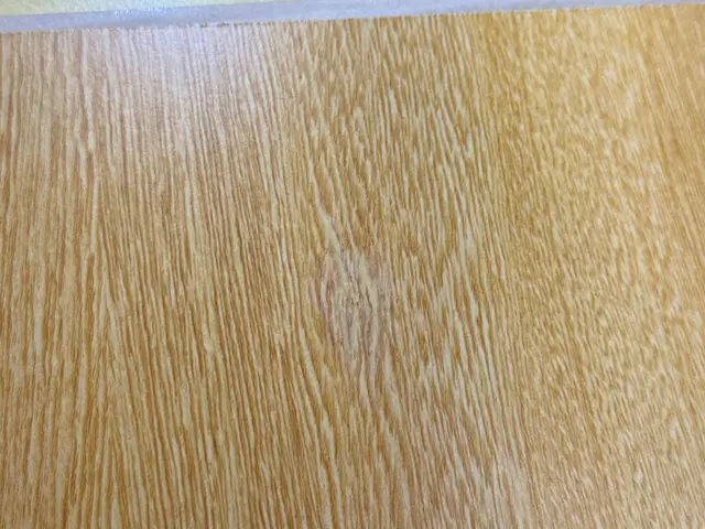 【トータルリペア加盟店】◉損害保険加盟済◉住まいの傷・へこみをプロの技で復元★サービスの画像