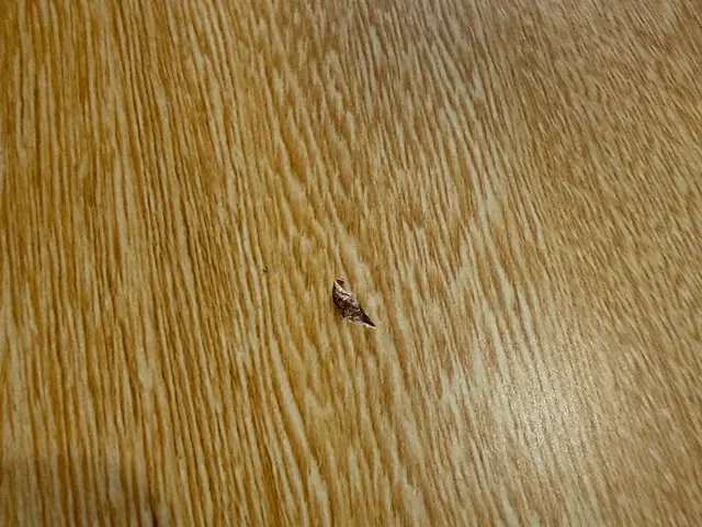 【トータルリペア加盟店】◉損害保険加盟済◉住まいの傷・へこみをプロの技で復元★サービスの画像