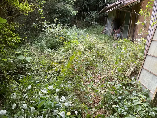 【店長訪問】女性スタッフ同行可能で安心！時間外・対応地域外相談OK！サービスの画像