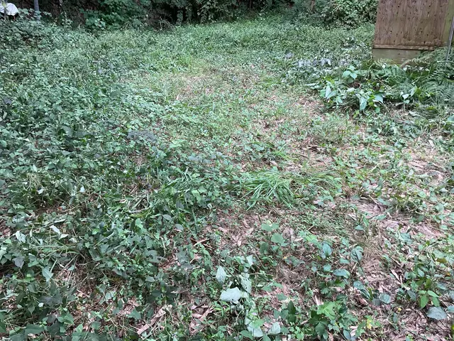 【店長訪問】女性スタッフ同行可能で安心！時間外・対応地域外相談OK！サービスの画像