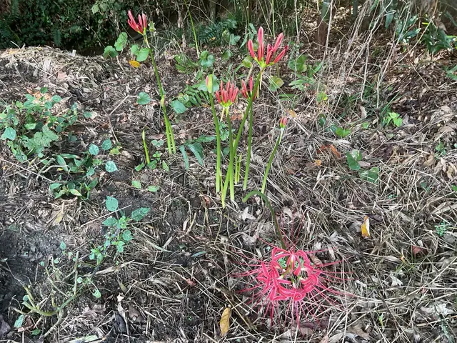 【店長訪問】女性スタッフ同行可能で安心！時間外・対応地域外相談OK！サービスの画像