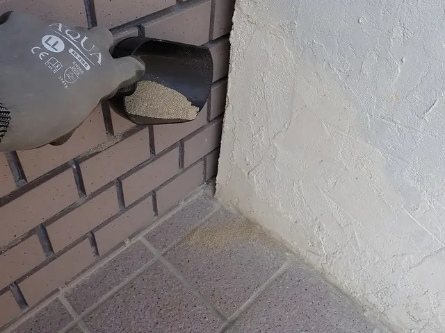 茨木より。床下と建物外周に対して粒剤＋液剤の２種類を駆使して駆除を行います。サービスの画像