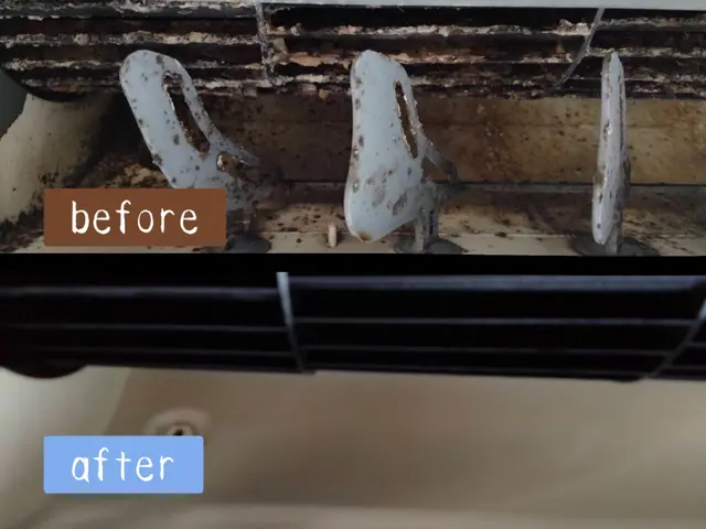 ◤アワード4年連続受賞★◢メーカー依頼も受けていたプロの施工★複数台割引き有り◎サービスの画像