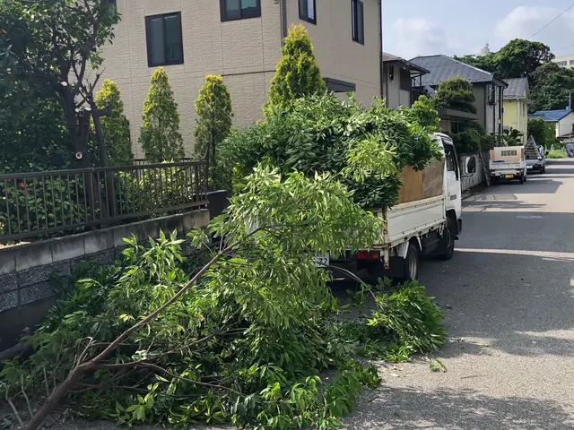 K styelでは「造園の専門家」がお客様のパートナーとして尽力いたします。サービスの画像