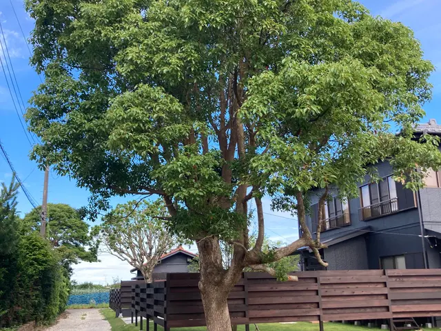 K styelでは「造園の専門家」がお客様のパートナーとして尽力いたします。サービスの画像