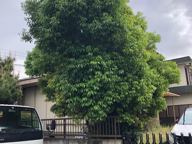 K styelでは「造園の専門家」がお客様のパートナーとして尽力いたします。サービスの画像