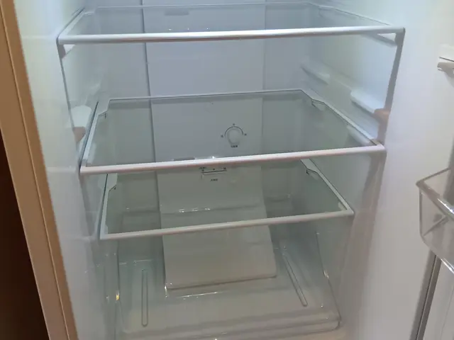 ■冷蔵庫内を除菌クリーニング。■ポケットは、１コ１コ分解洗浄■墨田江東周辺〜千葉サービスの画像