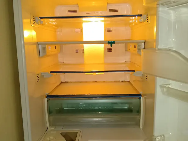 ■冷蔵庫内を除菌クリーニング。■ポケットは、１コ１コ分解洗浄■墨田江東周辺〜千葉サービスの画像