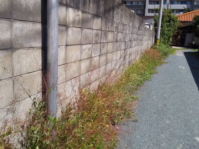 ☆不在、空き家も対応可☆女性スタッフ同行可☆まずはご相談下さい！サービスの画像