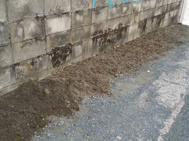 ☆不在、空き家も対応可☆女性スタッフ同行可☆まずはご相談下さい！サービスの画像