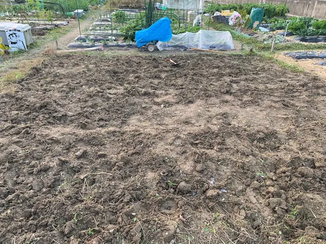 ☆不在、空き家も対応可☆女性スタッフ同行可☆まずはご相談下さい！サービスの画像