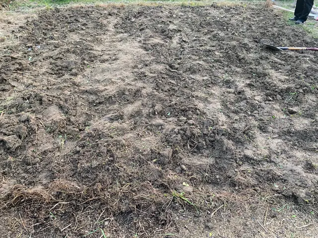 ☆不在、空き家も対応可☆女性スタッフ同行可☆まずはご相談下さい！サービスの画像