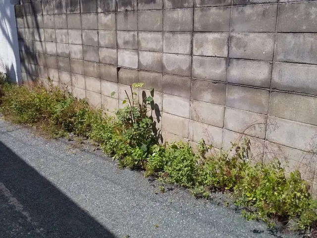 ☆不在、空き家も対応可☆女性スタッフ同行可☆まずはご相談下さい！サービスの画像