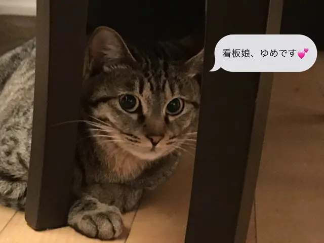 ◎着たいを叶えたい◎スレンダーでこなれた着付◎簡単アップヘア込
