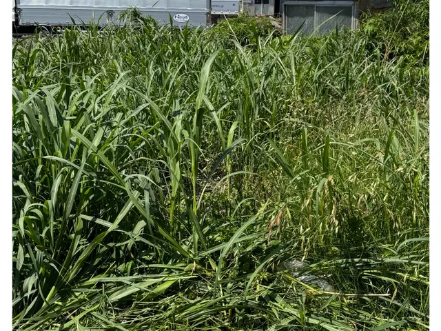 プロの技術でご満足いただけるように心を込めて作業いたしますサービスの画像