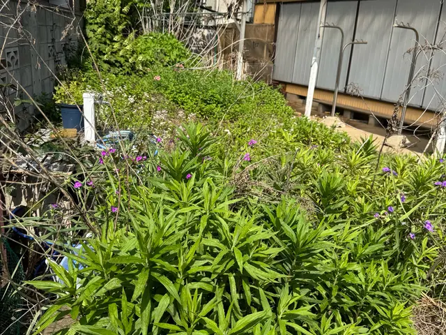 プロの技術でご満足いただけるように心を込めて作業いたしますサービスの画像