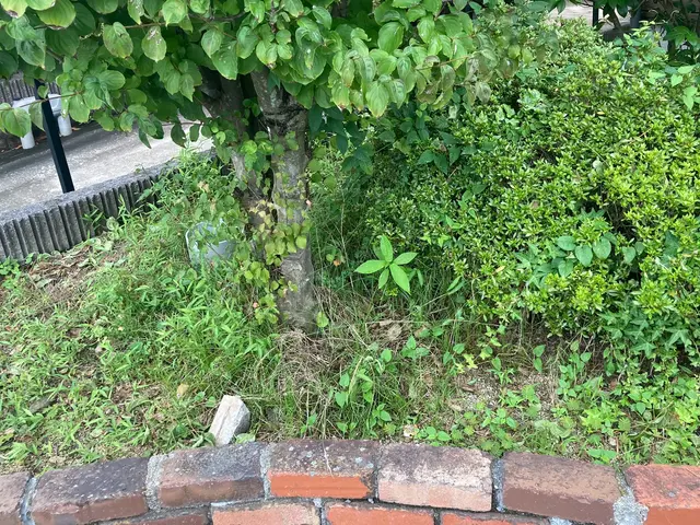 暑さ対策万全！現在お墓やお寺民泊に庭園大きな施設等もやっています！サービスの画像