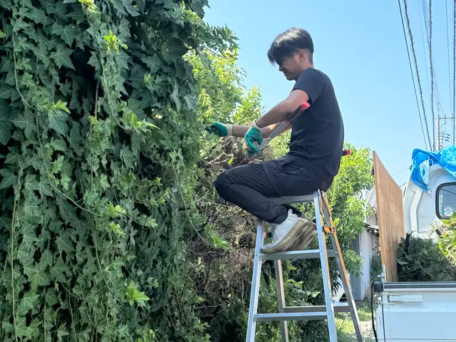 庭木の剪定サービスの画像