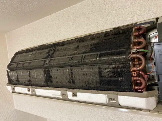 【写真の私がお伺いします！】お子様がいるご家庭も大歓迎！安心の損害保険加入店サービスの画像