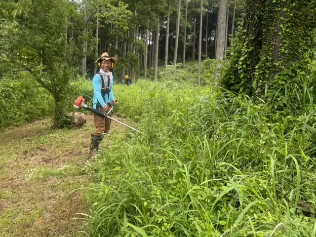 庭、敷地内の草刈りサービスの画像