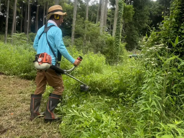 庭、敷地内の草刈りサービスの画像