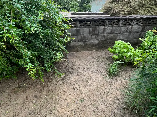 業界経験豊富な女性スタッフがお伺いして、お庭のお手入れ致します。サービスの画像