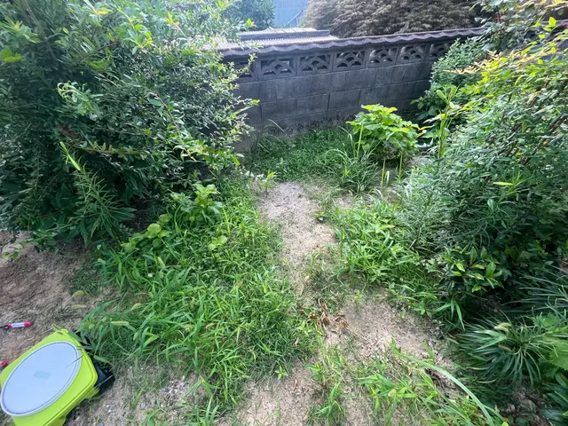 業界経験豊富な女性スタッフがお伺いして、お庭のお手入れ致します。サービスの画像