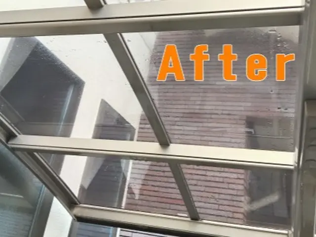 カーポート・駐車場のコケや汚れを仕上がり重視で丁寧に作業します！サービスの画像