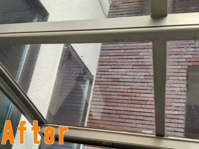 カーポート・駐車場のコケや汚れを仕上がり重視で丁寧に作業します！サービスの画像