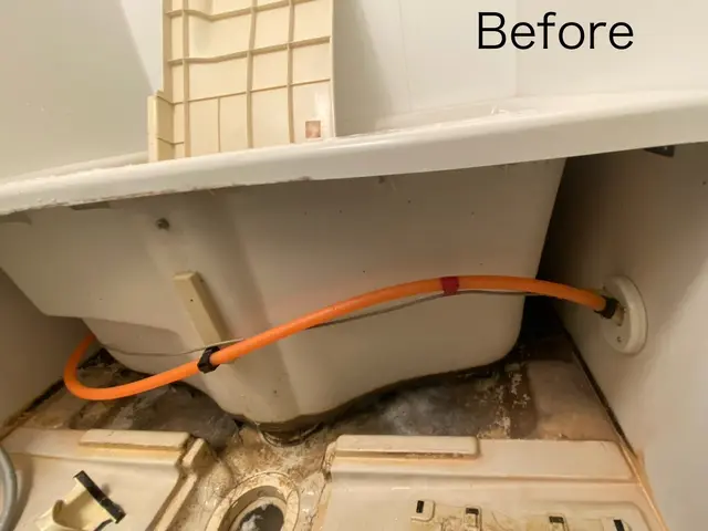 ≪江戸川区発≫大手勤務10年以上・クリンネスト1級等☆お掃除のコツもお尋ね下さいサービスの画像