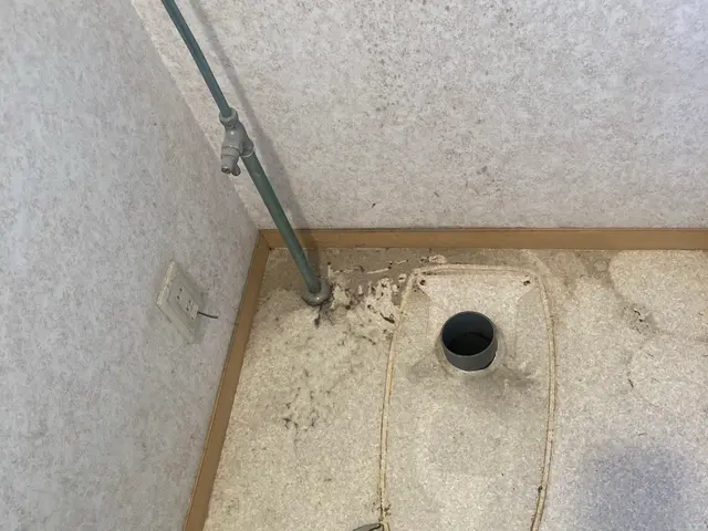 10月新出店◎内装対応｜壁紙/床床張替えも可能◎【流山市】サービスの画像