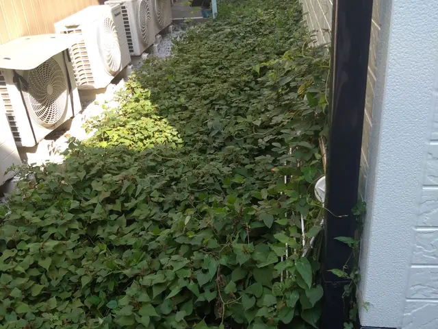 丁寧な対応でスピーディーに仕上げます。サービスの画像