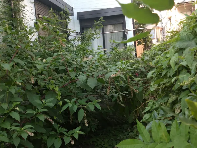 丁寧な対応でスピーディーに仕上げます。サービスの画像