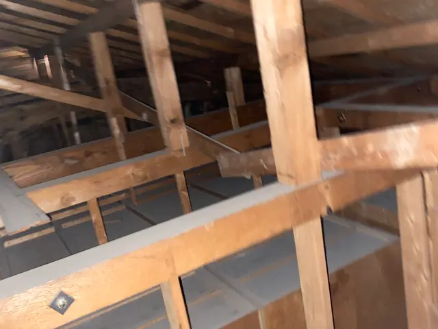 ●アライグマ、ハクビシンでお困りの方プロに任せて快適な暮らしをお届け！サービスの画像