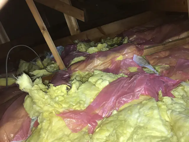 ●アライグマ、ハクビシンでお困りの方プロに任せて快適な暮らしをお届け！サービスの画像