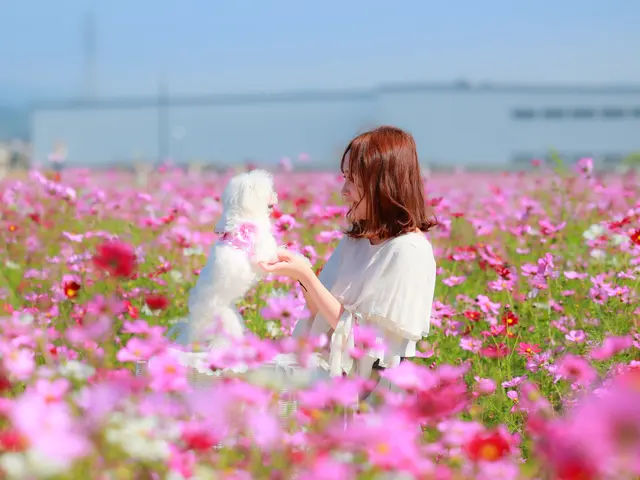 【即日納品】大切な日を大切な思い出に。イベントの撮影はお任せください！