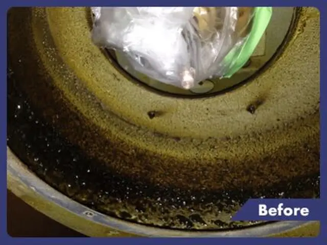 【お陰様で11周年！モットーは清く正しく美しく！】きめ細かいサービスを徹底追求！サービスの画像