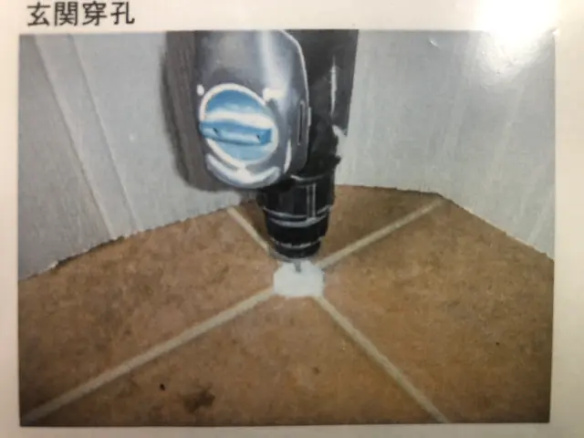 丁寧確実に防除施工いたします！【シロアリ防除士・日本しろあり対策協会認定薬剤】サービスの画像