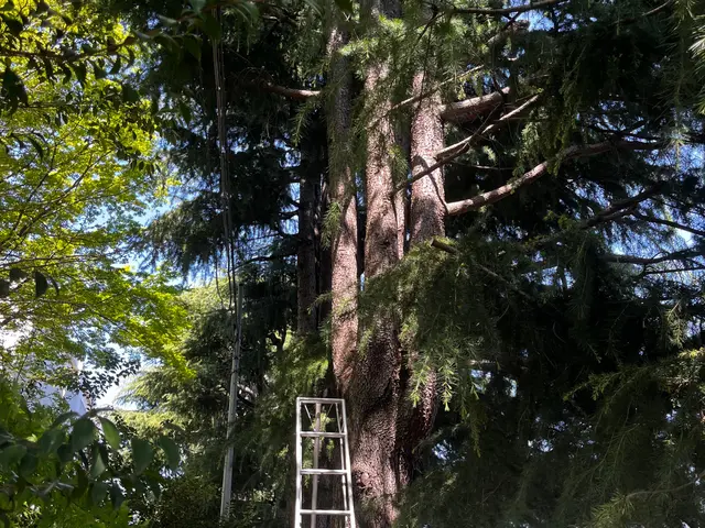 【業歴13年の実績】年中無休◎造園施工管理技士◎アフターフォローも万全サービスの画像