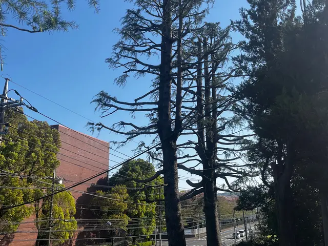 【業歴13年の実績】年中無休◎造園施工管理技士◎アフターフォローも万全サービスの画像