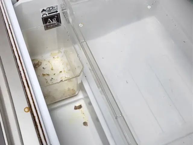 庫内まる洗い！冷蔵庫除菌・脱臭クリーニングサービスの画像