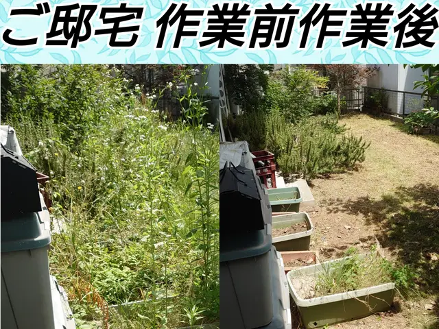 【3分の紹介動画あります】クレジットOKサービスの画像