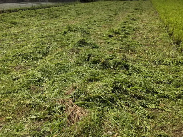 ◆予約から施工まで100%自社対応◆駐車代お店負担◆迅速丁寧に対応しますサービスの画像