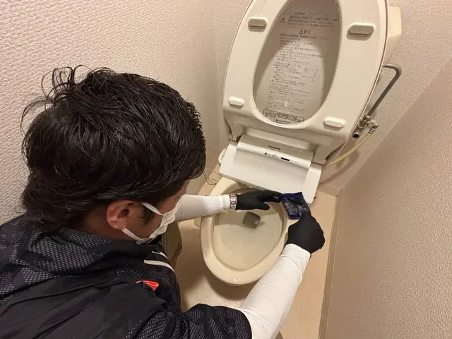 ☆好評につき11/30日までの限定価格☆トイレクリーニングサービスの画像