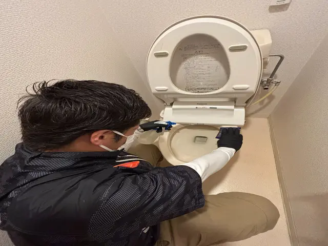 ☆好評につき11/30日までの限定価格☆トイレクリーニングサービスの画像