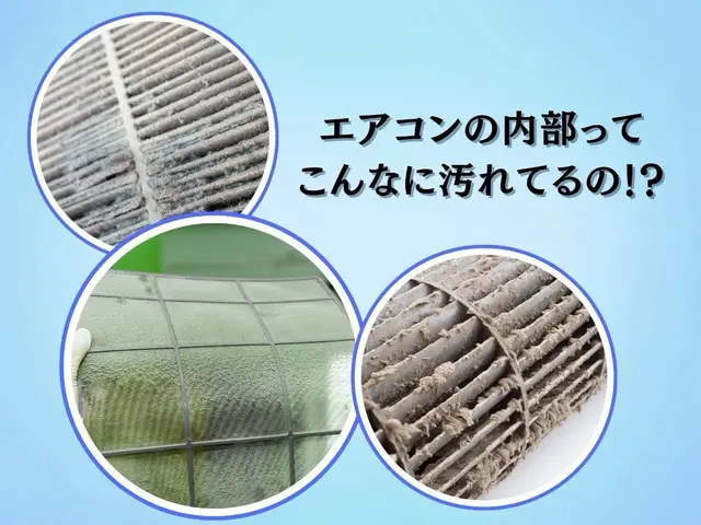 低価格×高品質！清掃のプロが真心を込めてお伺い【お得なオプションもご用意】サービスの画像