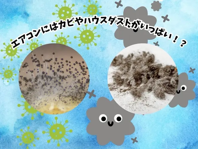 低価格×高品質！清掃のプロが真心を込めてお伺い【お得なオプションもご用意】サービスの画像