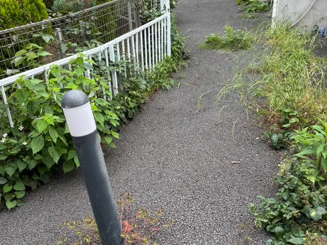 プロの技術でご満足いただけるように心を込めて作業いたしますサービスの画像