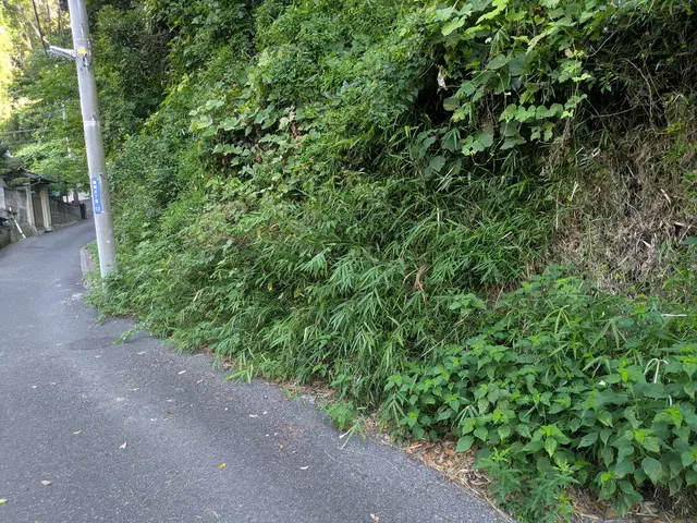 プロの技術でご満足いただけるように心を込めて作業いたしますサービスの画像